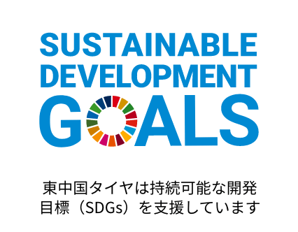 SUSTAINABLE DEVELOPMENT