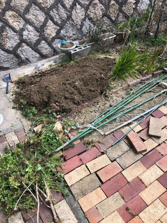 まずは草むしり