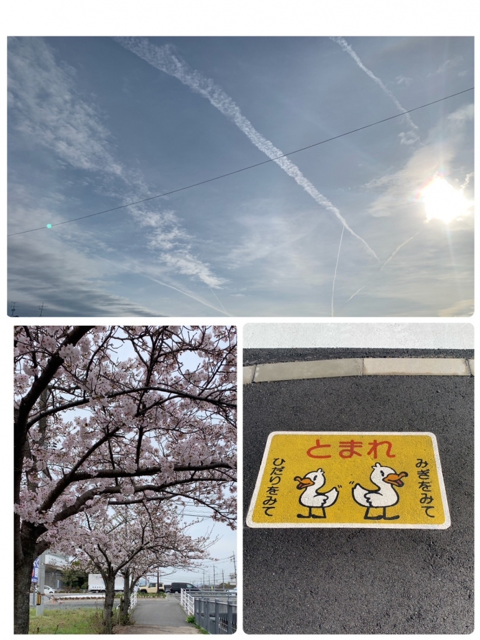 ウォーキングコースの1例です(#^^#) 飛行機雲がたくさん♪ 少し前の桜♪ 大好きなカワイイ『とまれ』の表示♪