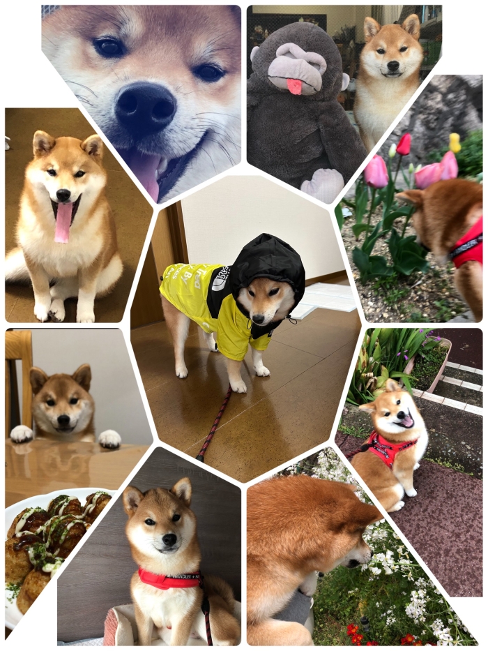 祝!6ヶ月になりました