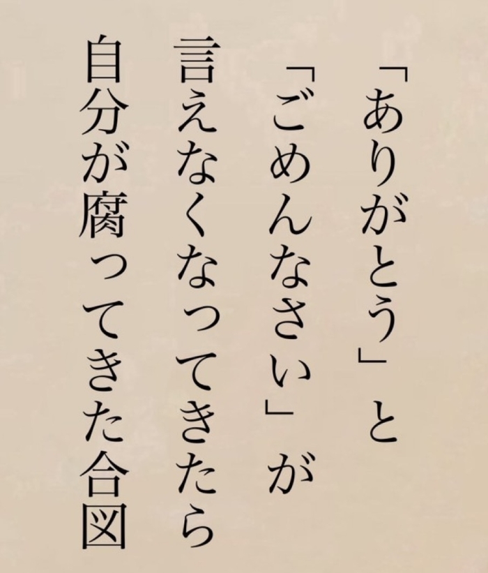 いただき物ですが・・・