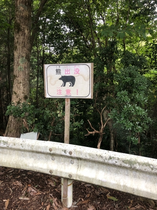クマ出没注意！！