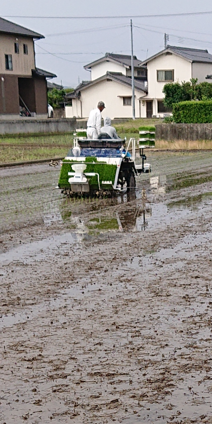 この時期がきた