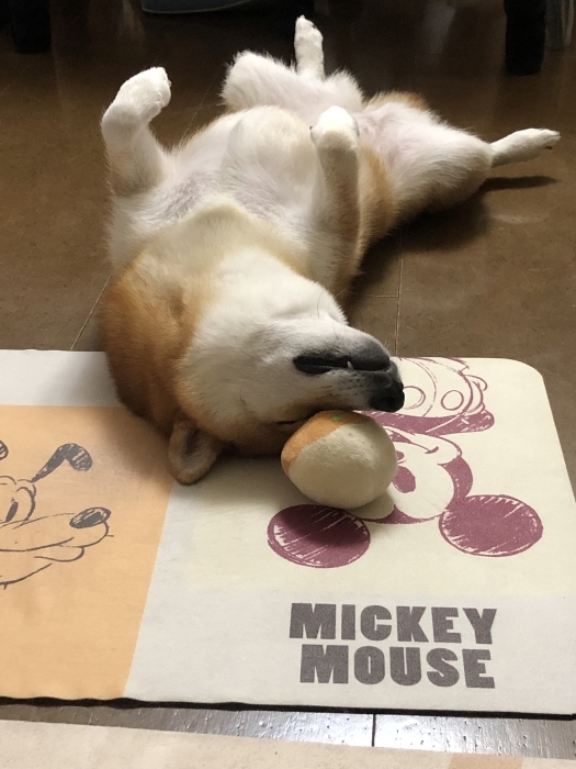 なんなんコレ⁈
