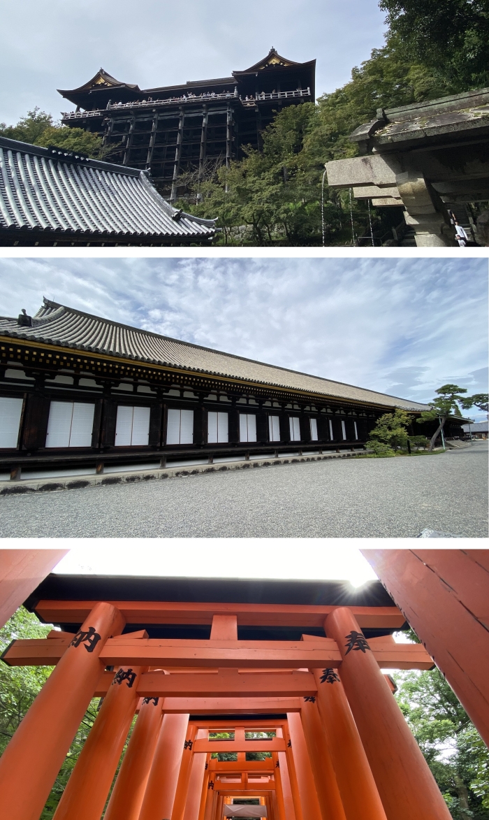 京都~大阪の旅