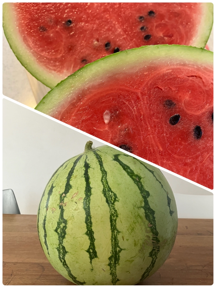 立派に成長しました