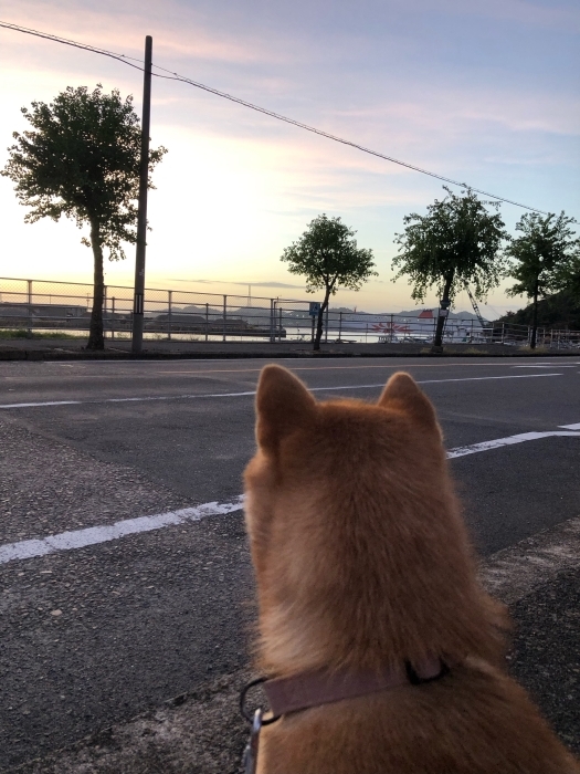 瀬戸内国際芸術祭2025 秋会期開催中